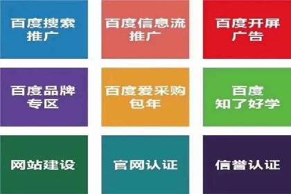 案例分析：竞价推广实战中的困境与突破